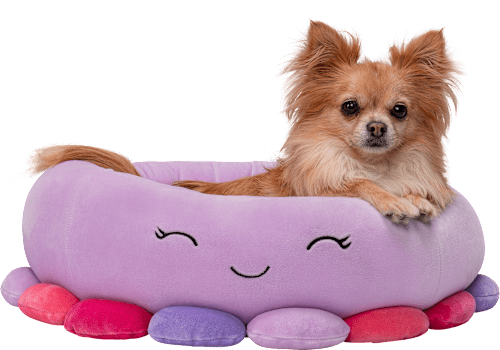 Krevet za životinje hobotnica – Beula, S SQUISHMALLOWS
