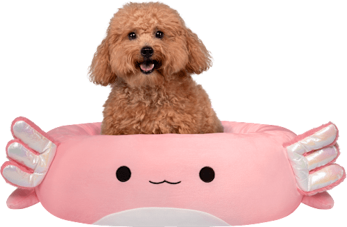 Krevet za životinje axolotl – Archie, S SQUISHMALLOWS
