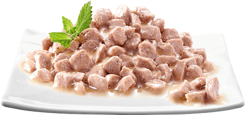 Nassfutter Katze, Huhn, Ente, Lachs & Thunfisch, Sauce Lover in Sauce - feine Vielfalt, Multipack (12x85 g) Sheba