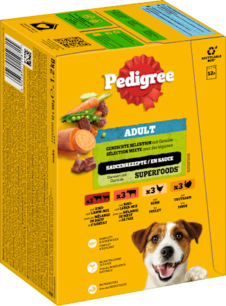 Nassfutter Hund gemischte Selektion in Sauce, Multipack (12x100 g) Pedigree