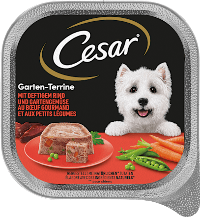 Nassfutter Hund Garten-Terrine mit Rind und Gartengemüse Cesar