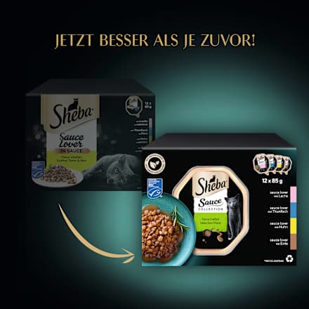 Nassfutter Katze feine Vielfalt in Sauce, Multipack (12x85 g) Sheba