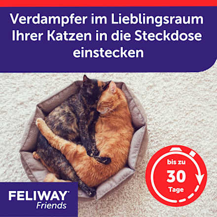 Pheromonverdampfer "Friends" Starterset für Katzen Feliway