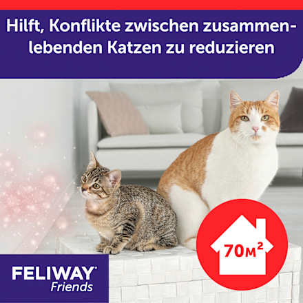 Pheromonverdampfer "Friends" Starterset für Katzen Feliway
