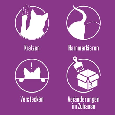 Pheromonverdampfer "Classic"  Starterset für Katzen Feliway