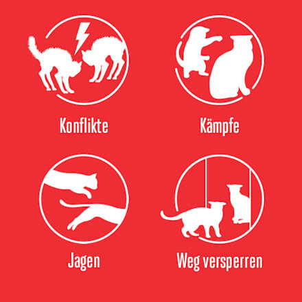Pheromonverdampfer "Friends" Starterset für Katzen Feliway