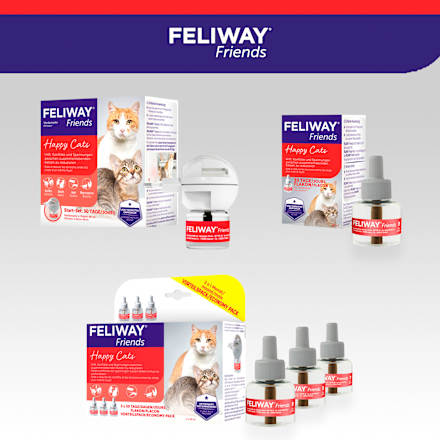 Pheromonverdampfer "Friends" Starterset für Katzen Feliway