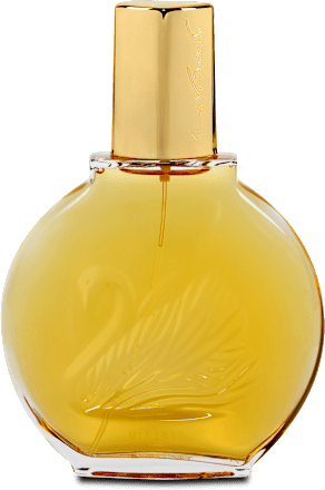 Gloria Vanderbilt edt Vanderbilt