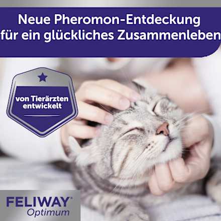 Pheromonverdampfer "Optimum" +Starterset für Katzen Feliway