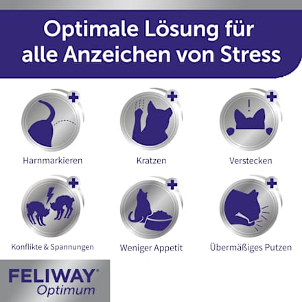 Nachfüllpack für Pheromonverdampfer "Optimum" für Katzen (3 Stück) Feliway