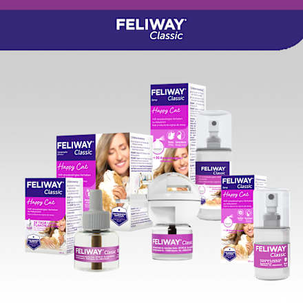 Pheromonverdampfer "Classic"  Starterset für Katzen Feliway