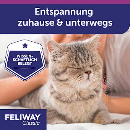 Entspannungsspray "Classic", Transportspray für Katzen Feliway