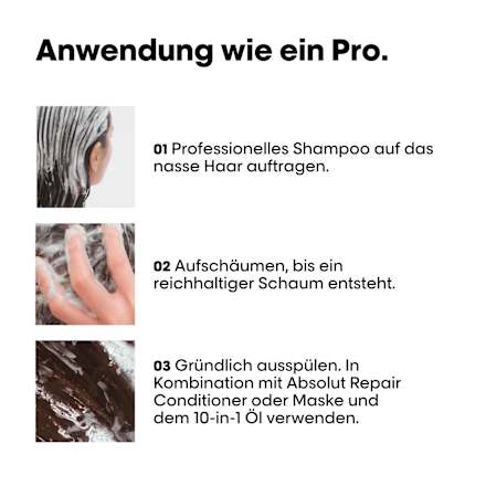 Shampoo Absolut Repair L´Oréal Professionnel