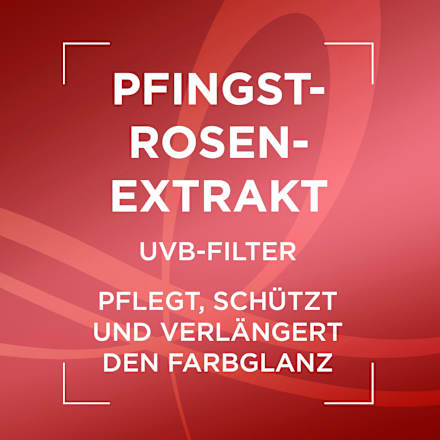 Shampoo Color Glanz Nachfüllpack L'ORÉAL PARiS ELVITAL