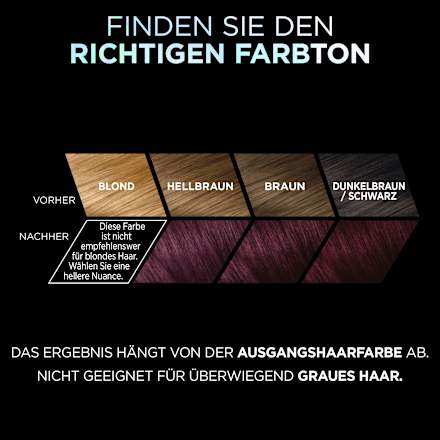 Haarfarbe Vivid Colors 4.261 Dark Purple L'ORÉAL PARiS PRÉFÉRENCE