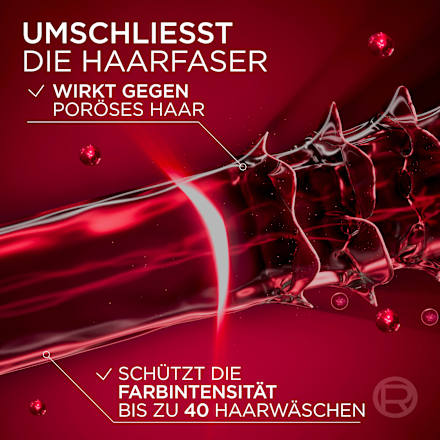 Shampoo Color Glanz L'ORÉAL PARiS ELVITAL