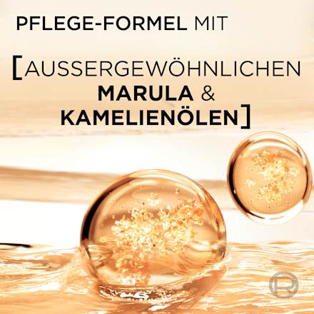 Shampoo Öl Magique Nährpflege L'ORÉAL PARiS ELVITAL