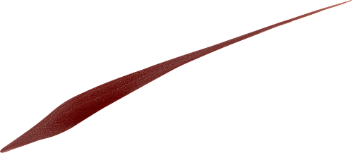 Očná linka Perfect Slim by Superliner - 03 Brown L'ORÉAL PARiS