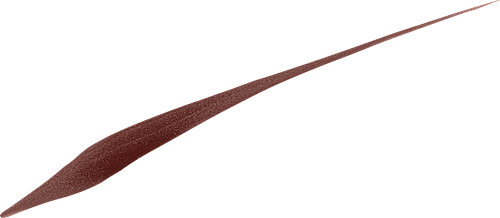 INFAILLIBLE GRIP 24H PRECISION FELT ajlajner - 02 Brown L'ORÉAL PARiS