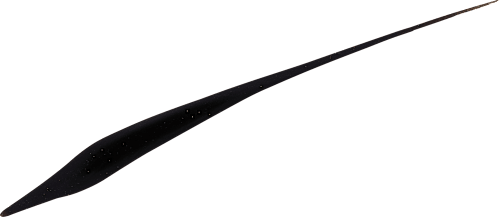Perfect Slim SuperLiner tuș de ochi cariocă 01 Intense Black L'ORÉAL PARiS