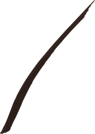 Eyeliner Hyper Precise Allday Forest Brown MAYBELLINE NEW YORK