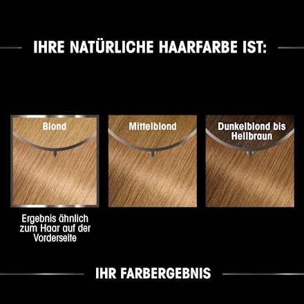 Haarfarbe 8.31 Honigblond GARNIER olia