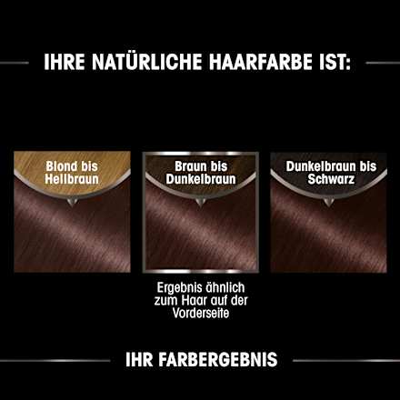 Haarfarbe 4.15 Schokobraun GARNIER olia