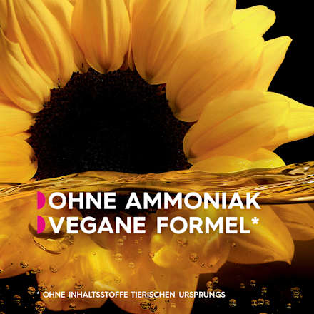 Haare Aufheller B+++ Ultra  GARNIER olia