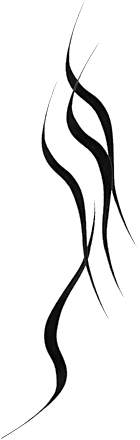 Gélová očná linka Tattoo Liner - 950 Blackest Black MAYBELLINE NEW YORK