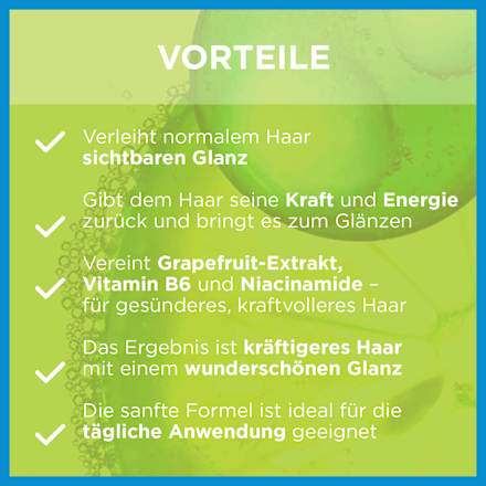 Shampoo Kraft & Glanz, stärkeres & glänzendes Haar GARNIER FRUCTIS