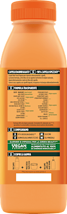 Shampoo Hair Food Riparatore GARNIER FRUCTIS