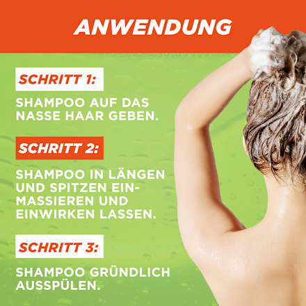 Shampoo Vitamine & Kraft  GARNIER FRUCTIS