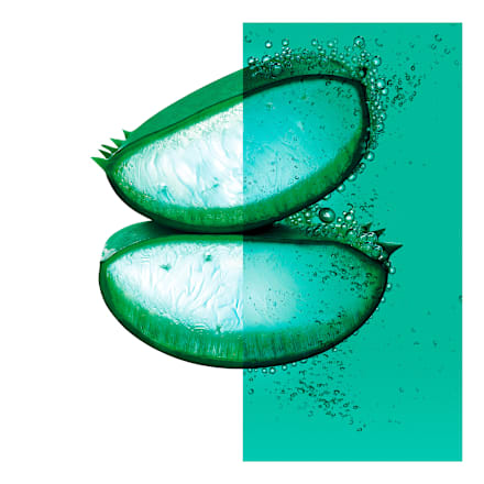 Шампоан за дехидратирана коса с алое вера Hair Food GARNIER FRUCTIS