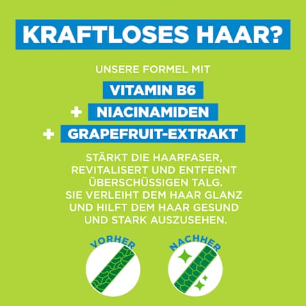 Shampoo Kraft & Glanz GARNIER FRUCTIS