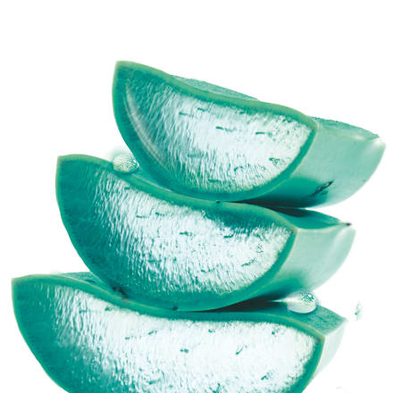 Hyaluronic Aloe Jelly gel hidratant  GARNIER SKIN NATURALS