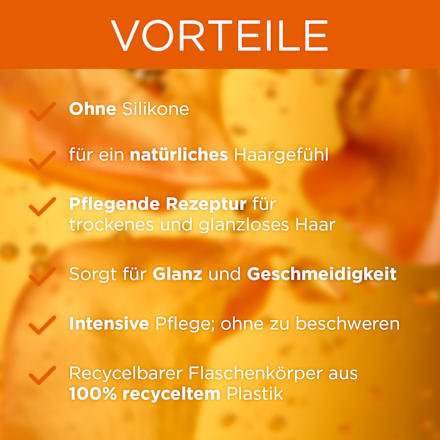 Conditioner Argan & Camelia-Öl Wahre Schätze