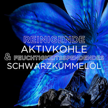 Conditioner Anziehende Aktivkohle & Schwarzkümmelöl Wahre Schätze