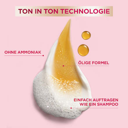 Intensivtönung Braun GARNIER Color Sensation