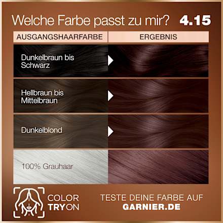 Dauerhafte Haarfarbe - Nr. 4.15 kühles Kastanienbraun GARNIER GOOD