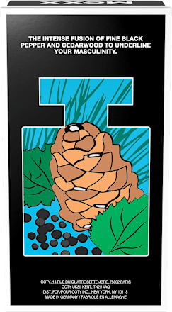 Eau de Toilette Black Man Mexx