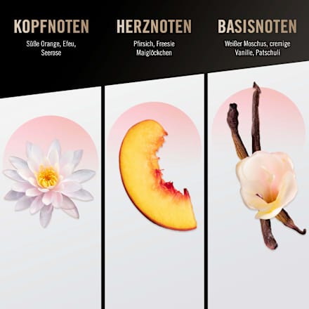 Körperspray Body Splash Fun-Loving Flower Woman Bruno Banani