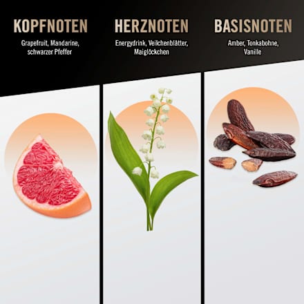 Absolute man Eau de Toilette Bruno Banani