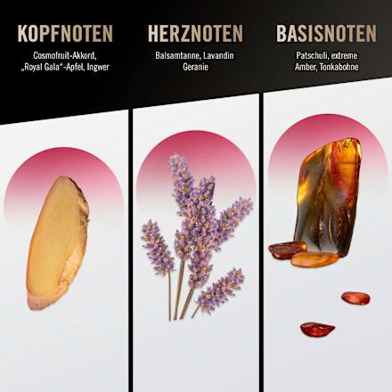 Loyal man Eau de Parfum Bruno Banani