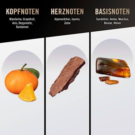 Pure man Eau de Toilette bruno banani