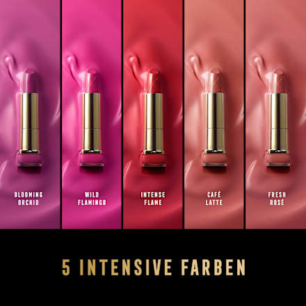 Lippenstift Colour Elixir Priyanka Edition 18 Café Latte MAX FACTOR