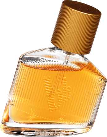 Toaletna voda Man's Best bruno banani