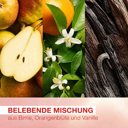 Körperspray Body Summer Bliss Mexx