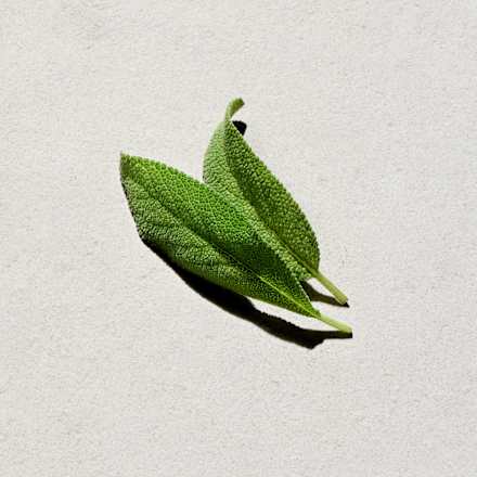 UEFA STAR Eau de Toilette adidas