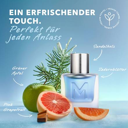 Eau de Toilette Ice Touch Man Mexx