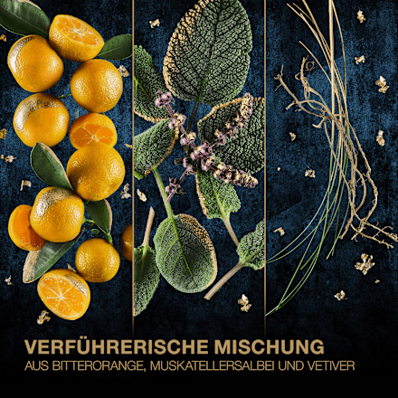 Black&Gold Man Eau de Toilette Mexx